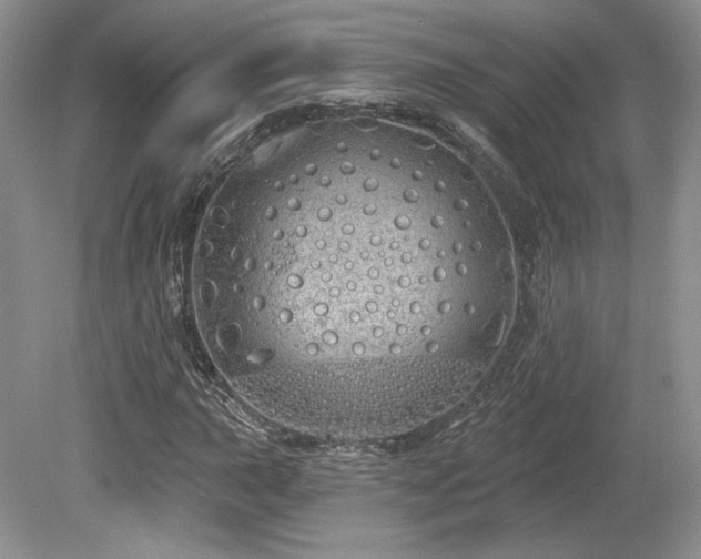 X0000080131015200612081224