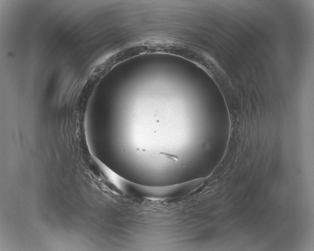 X0000080131016200612081224