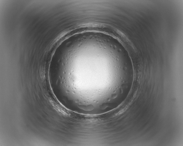 X0000080131017200612081224