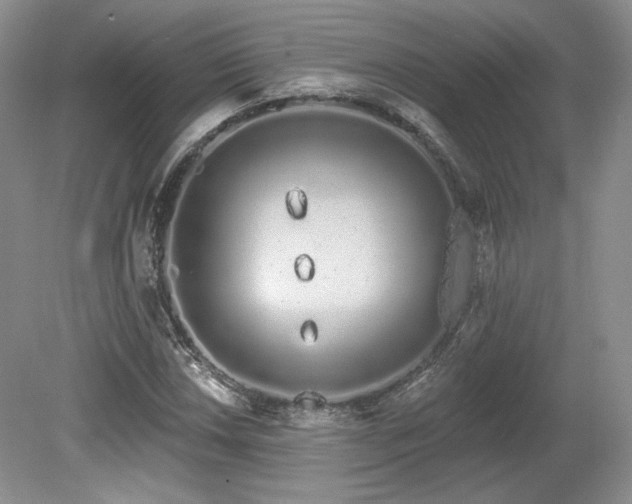 X0000080131018200612081224