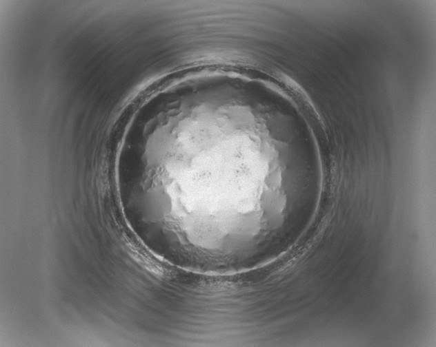 X0000080131019200612081224