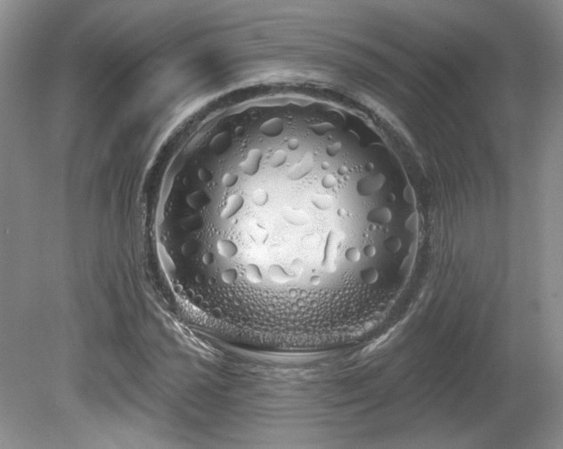 X0000080131021200612081224