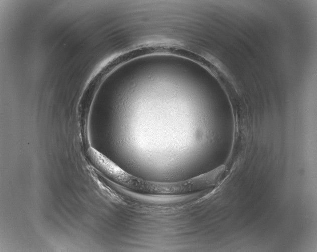 X0000080131022200612081224