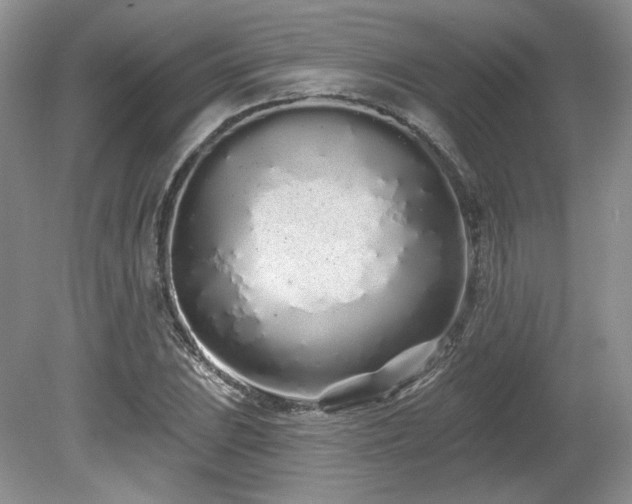 X0000080131023200612081224