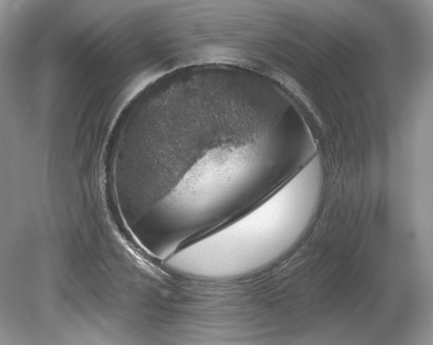 X0000080131024200612081224