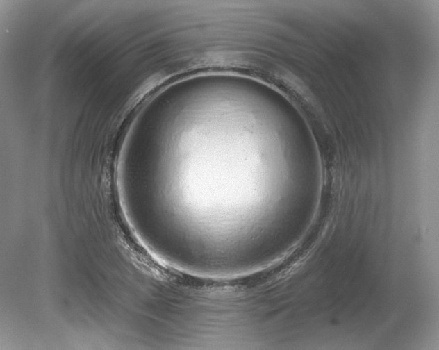 X0000080131025200612081224