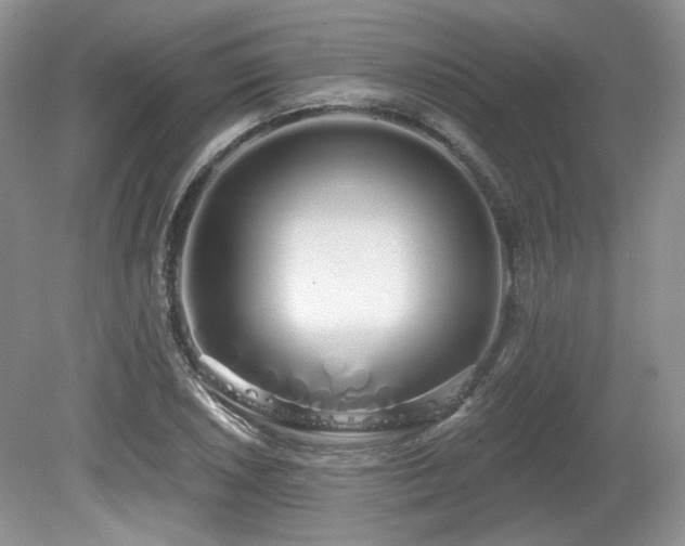 X0000080131026200612081224