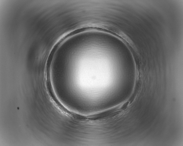 X0000080131028200612081225