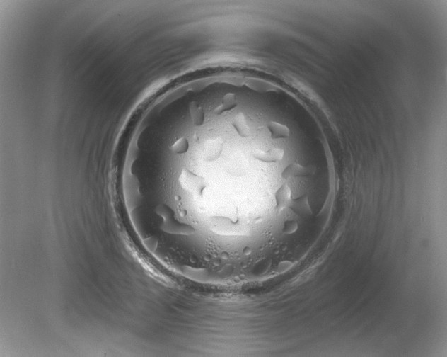 X0000080131029200612081225