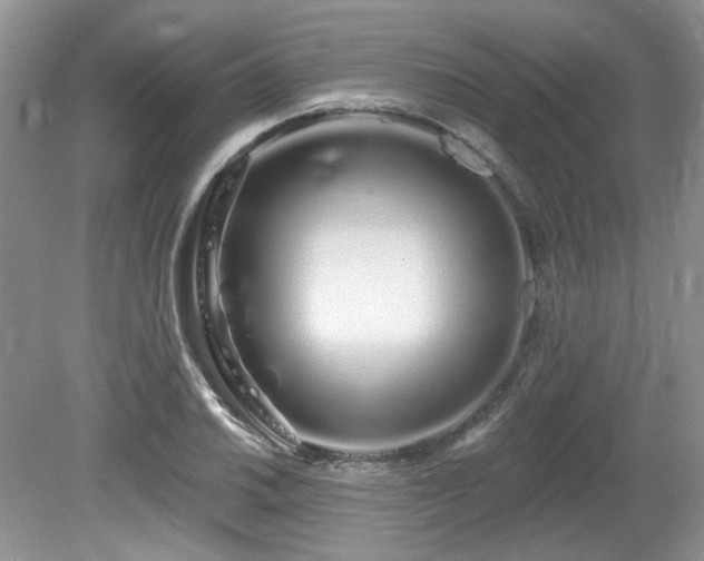 X0000080131030200612081225