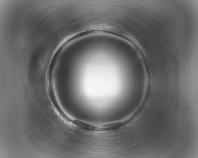 X0000080131032200612081225