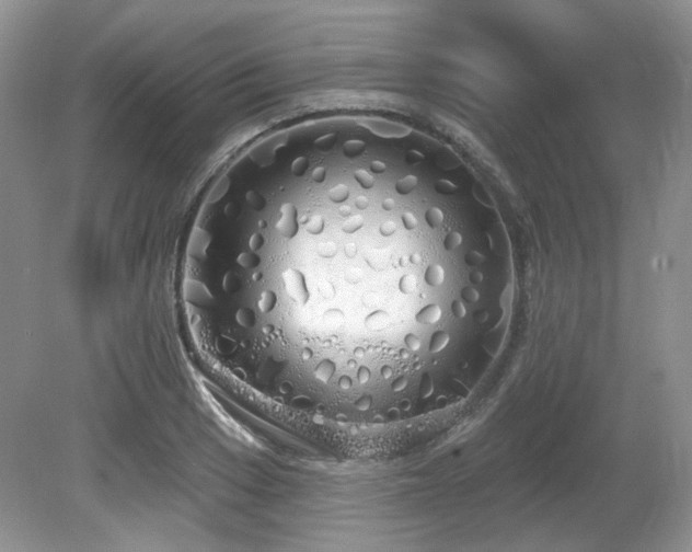 X0000080131033200612081225