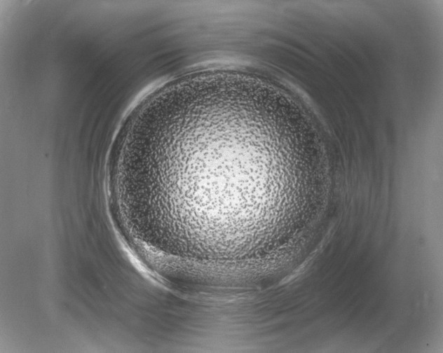 X0000080131034200612081225