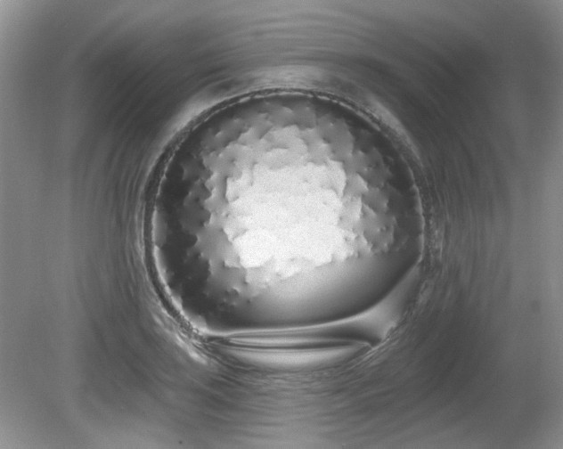 X0000080131035200612081225