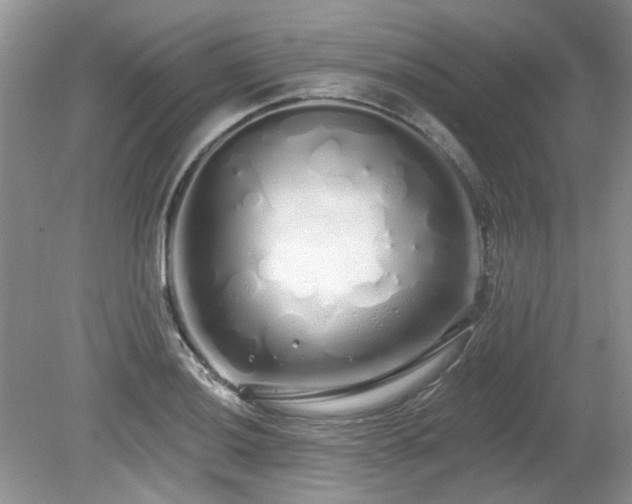 X0000080131036200612081225