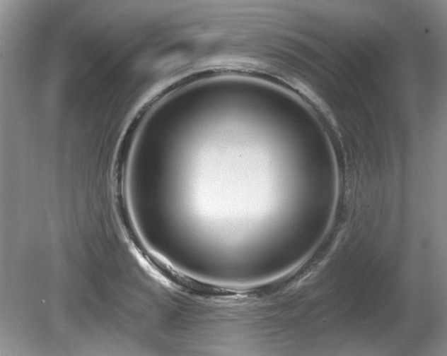 X0000080131037200612081225