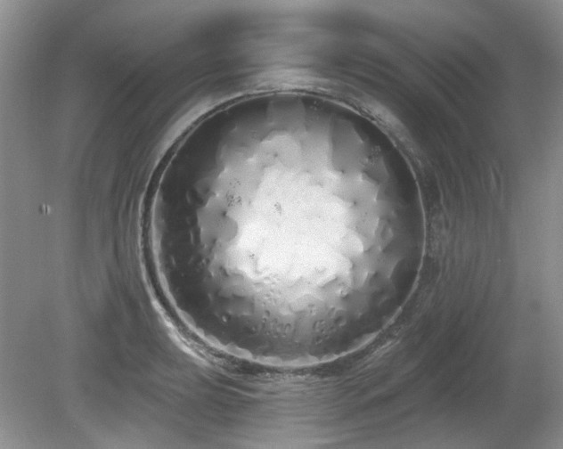 X0000080131039200612081225