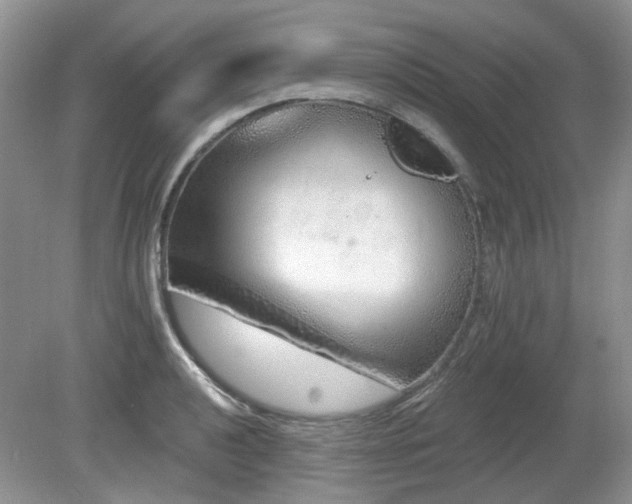 X0000080131040200612081225