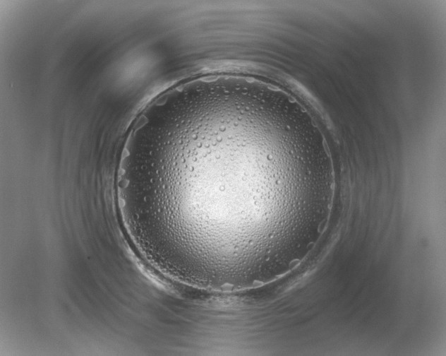 X0000080131041200612081225