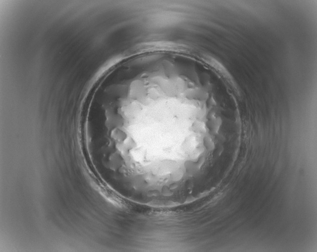 X0000080131043200612081225