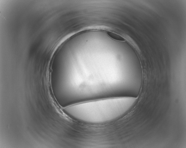 X0000080131044200612081225