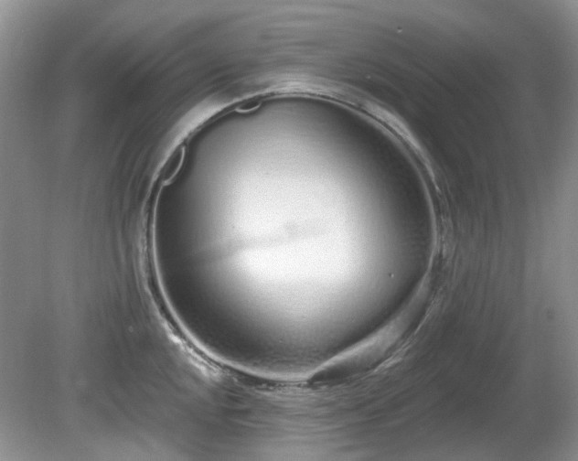 X0000080131048200612081225