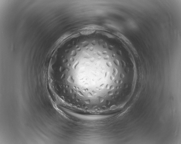 X0000080131049200612081225