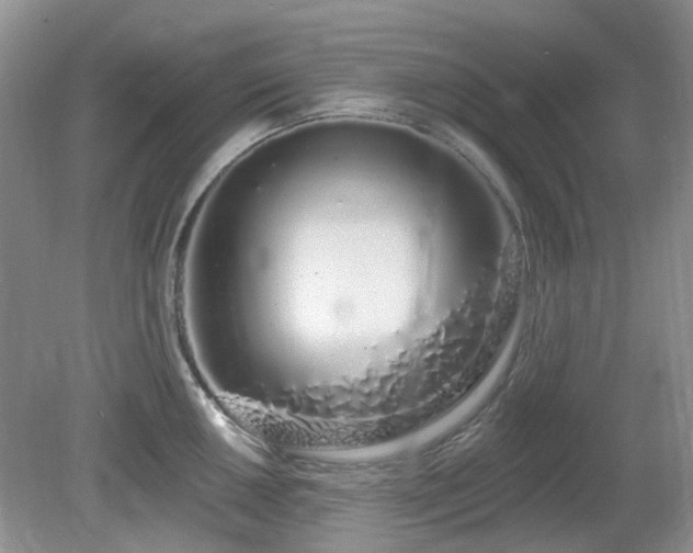 X0000080131050200612081225