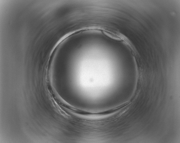 X0000080131052200612081225