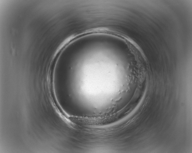 X0000080131054200612081225