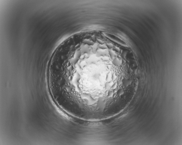 X0000080131055200612081225