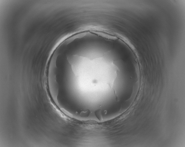 X0000080131056200612081225