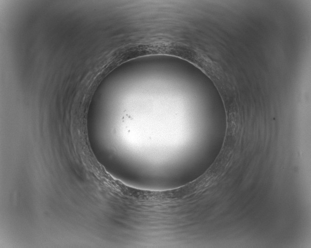 X0000080131057200612081224