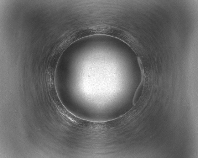 X0000080131058200612081224