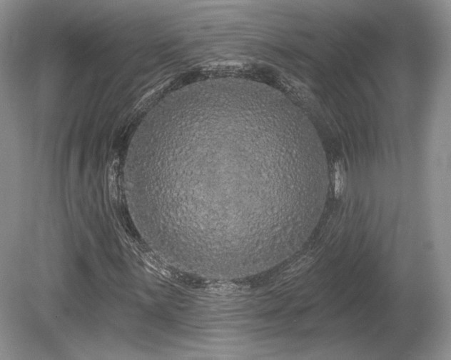 X0000080131059200612081224