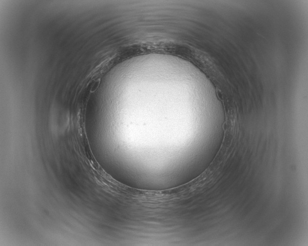 X0000080131060200612081224