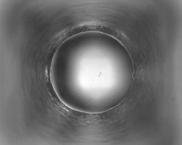 X0000080131062200612081224