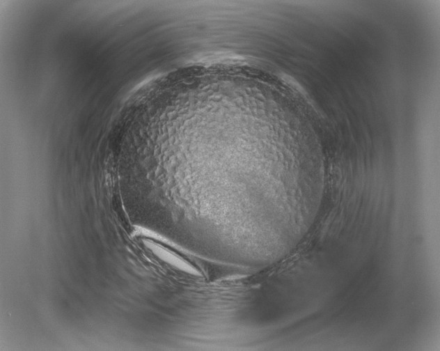 X0000080131063200612081224