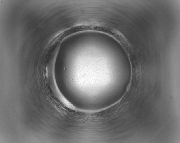 X0000080131064200612081224