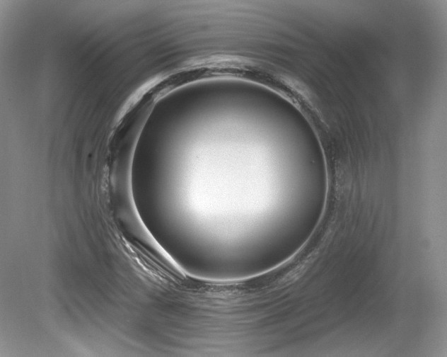 X0000080131066200612081224