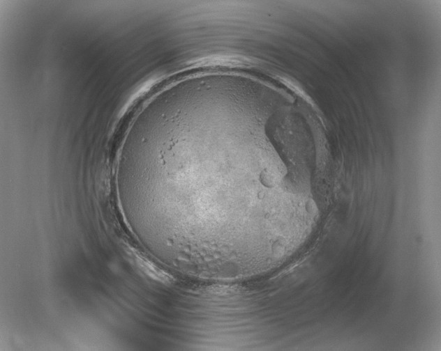 X0000080131067200612081224