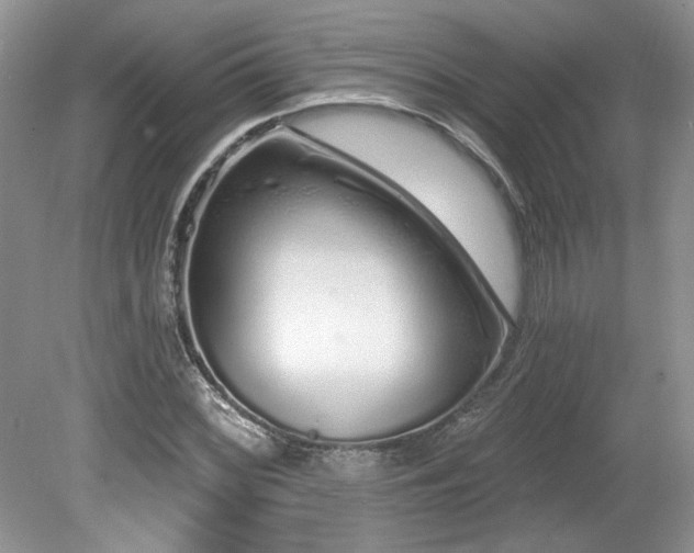 X0000080131068200612081224