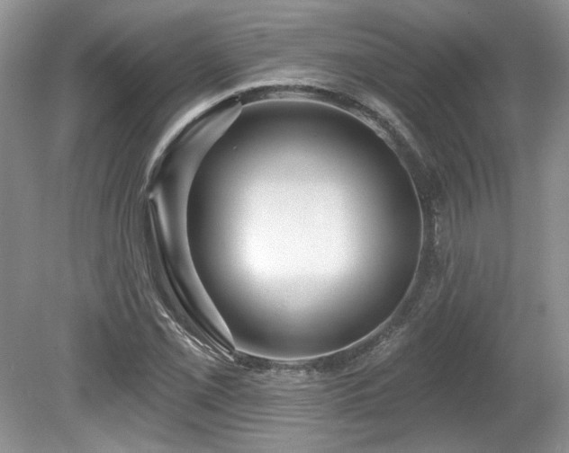 X0000080131069200612081224