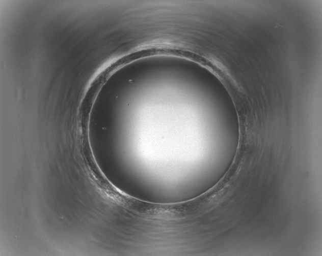 X0000080131070200612081224