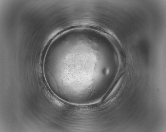 X0000080131071200612081224