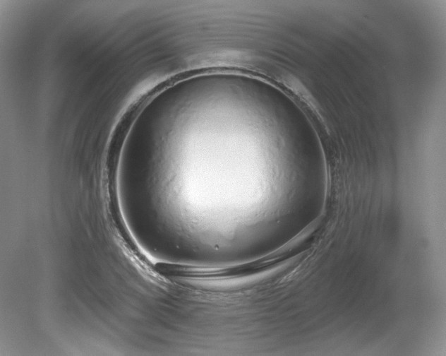 X0000080131072200612081224