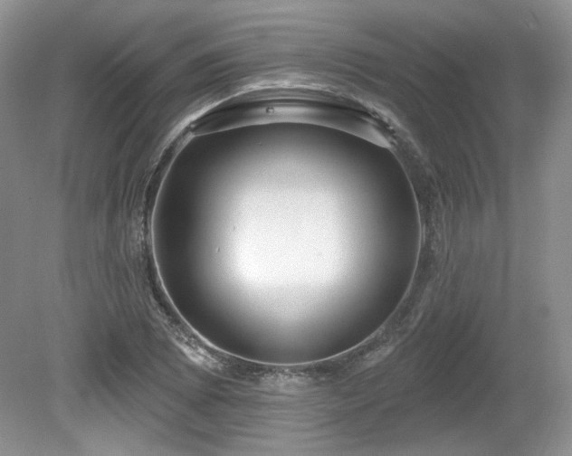 X0000080131073200612081224