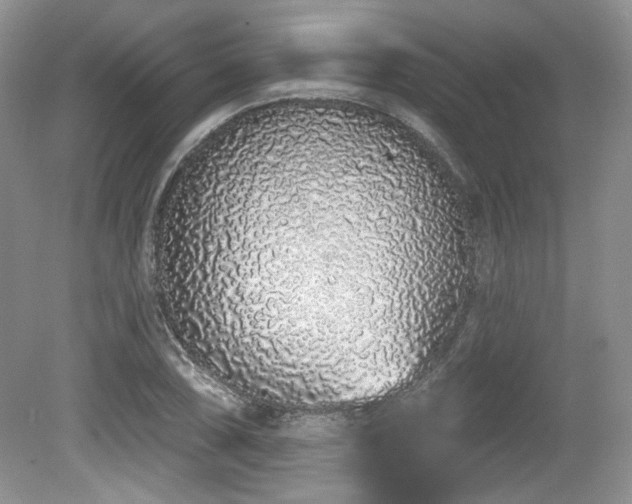 X0000080131074200612081224