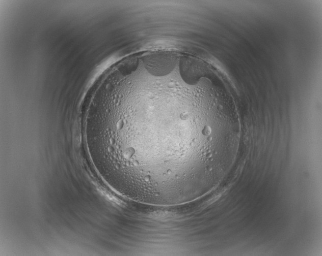 X0000080131075200612081224