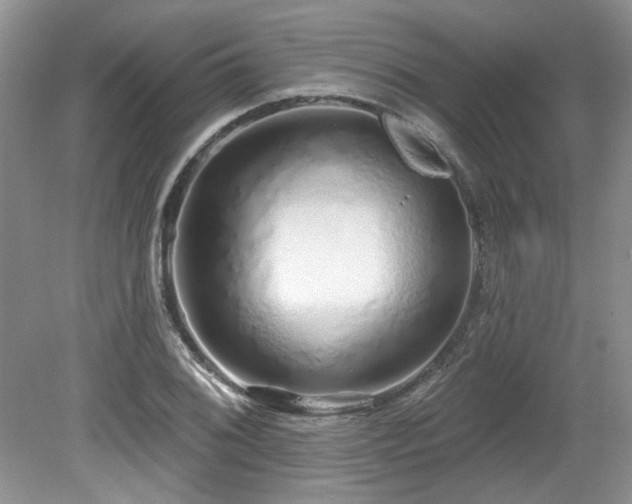 X0000080131076200612081224